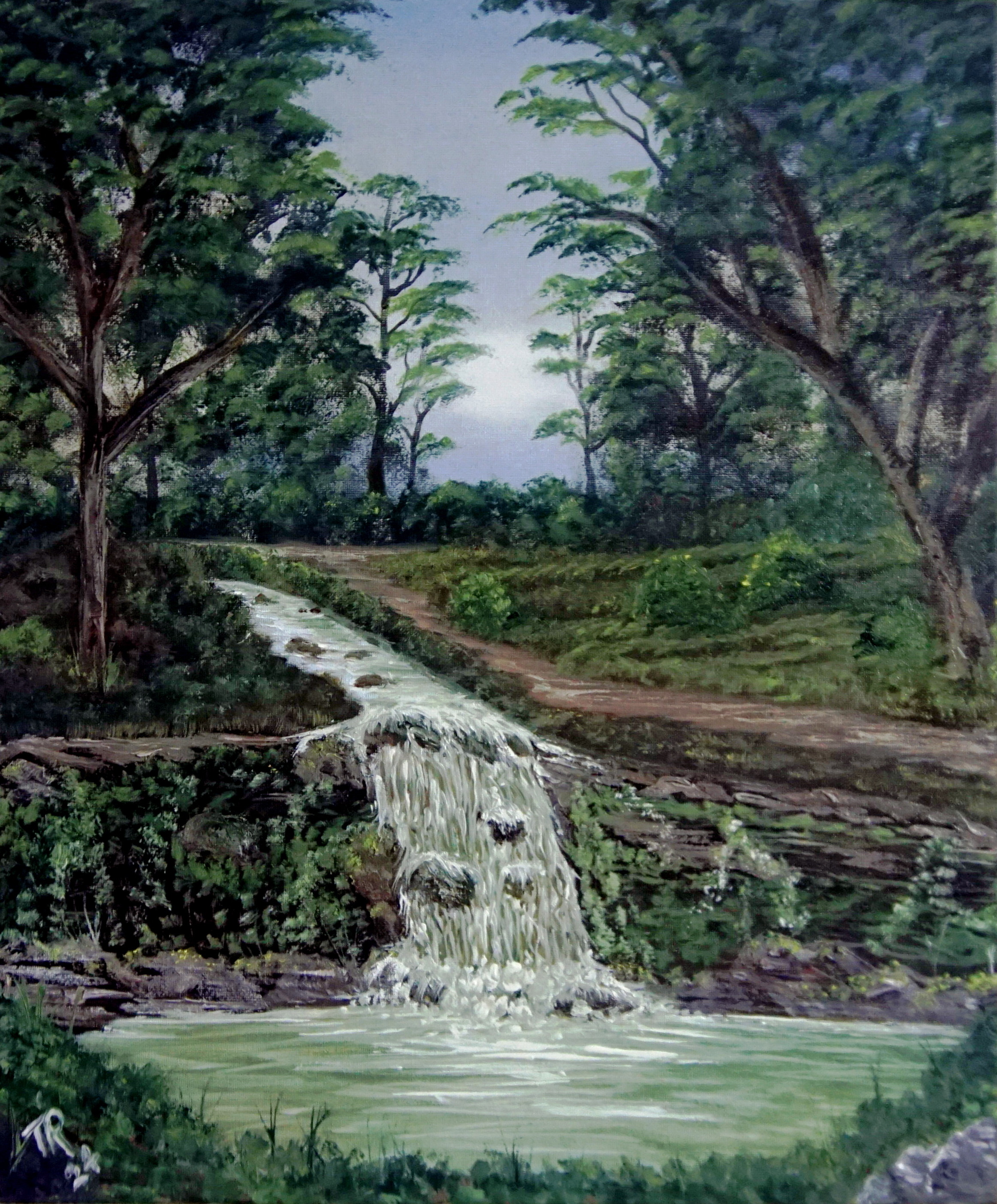 Woodland Waterfall 