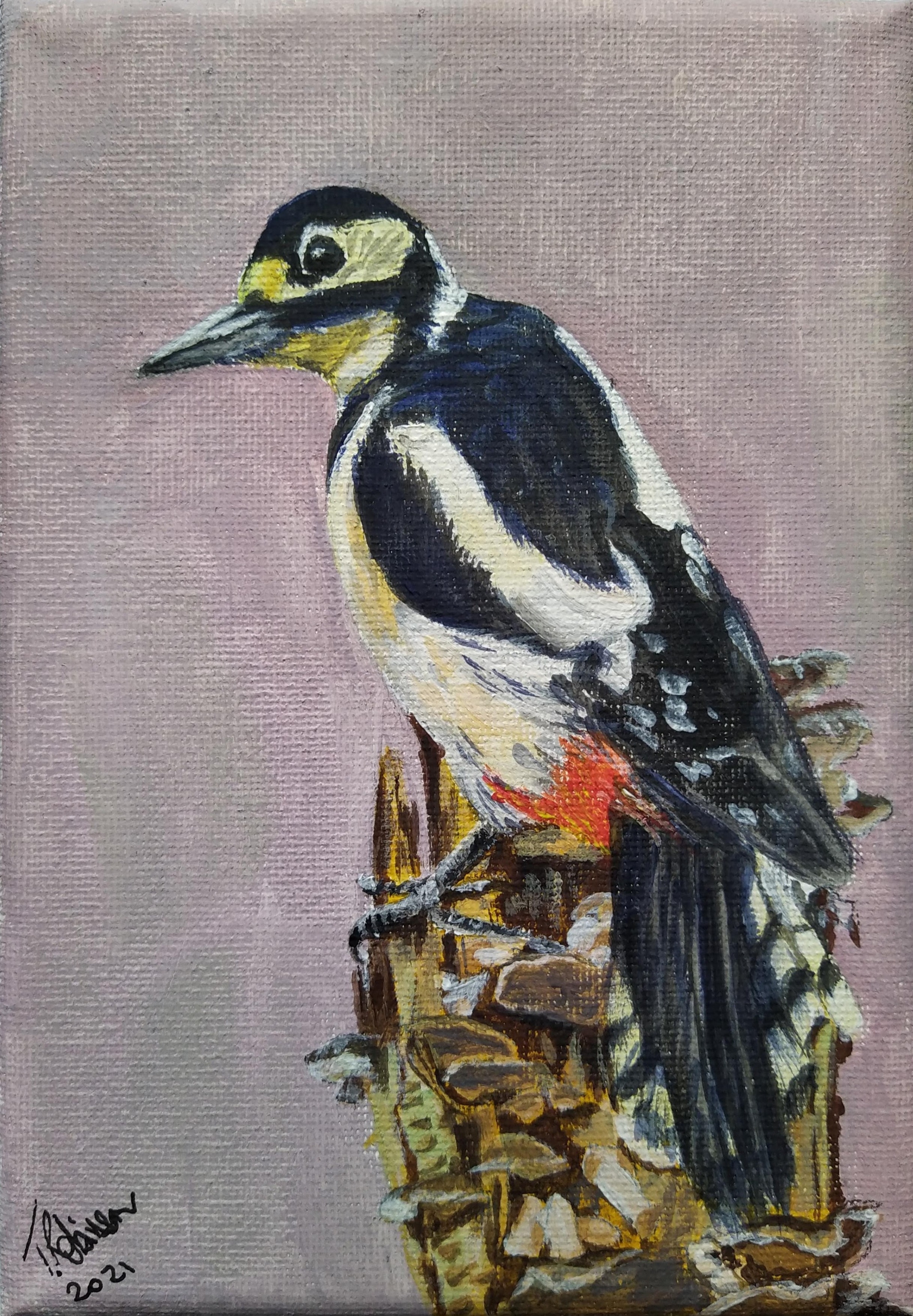 A Woodpecker 